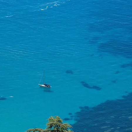 Le Coq Grimaldi - Wifi - Air Conditioning - Quiet Roquebrune-Cap-Martin Exterior photo